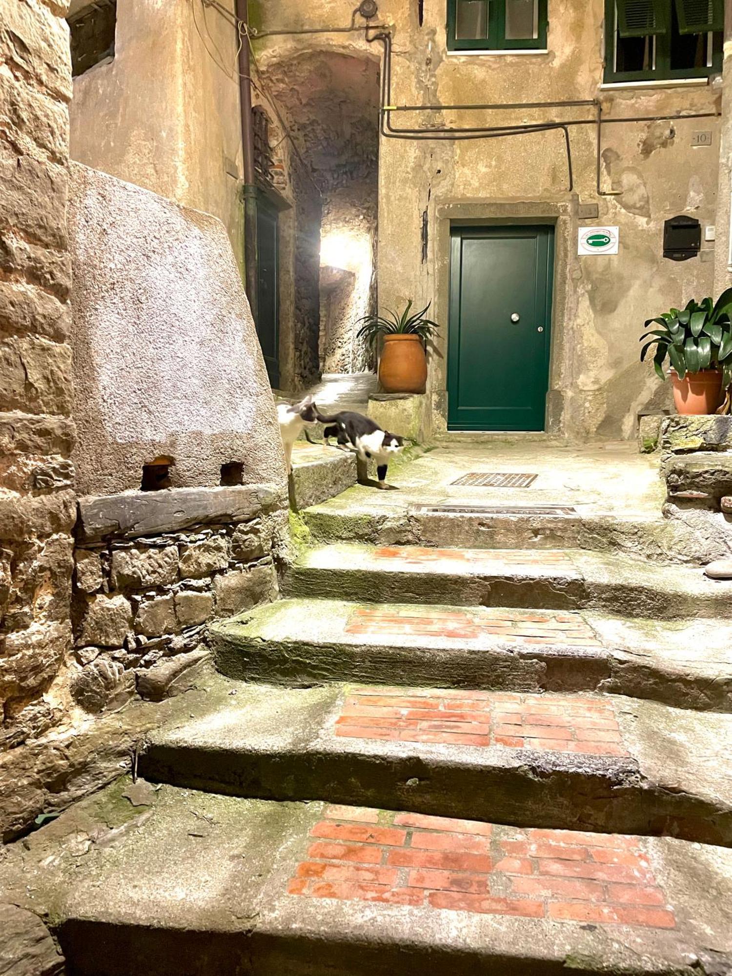 Camere Francesca Vernazza Luaran gambar